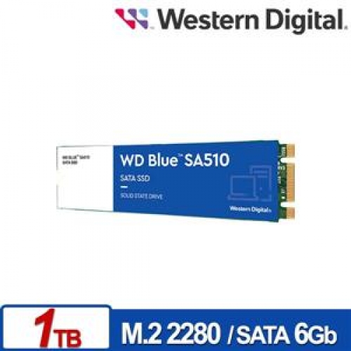 WD 藍標 SA510 1TB M....