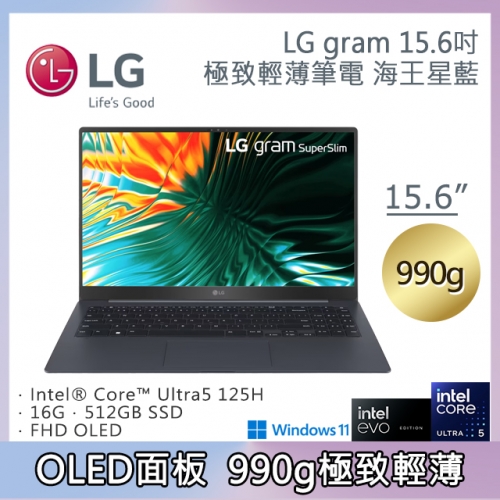 LG gram 15.6吋海王星...